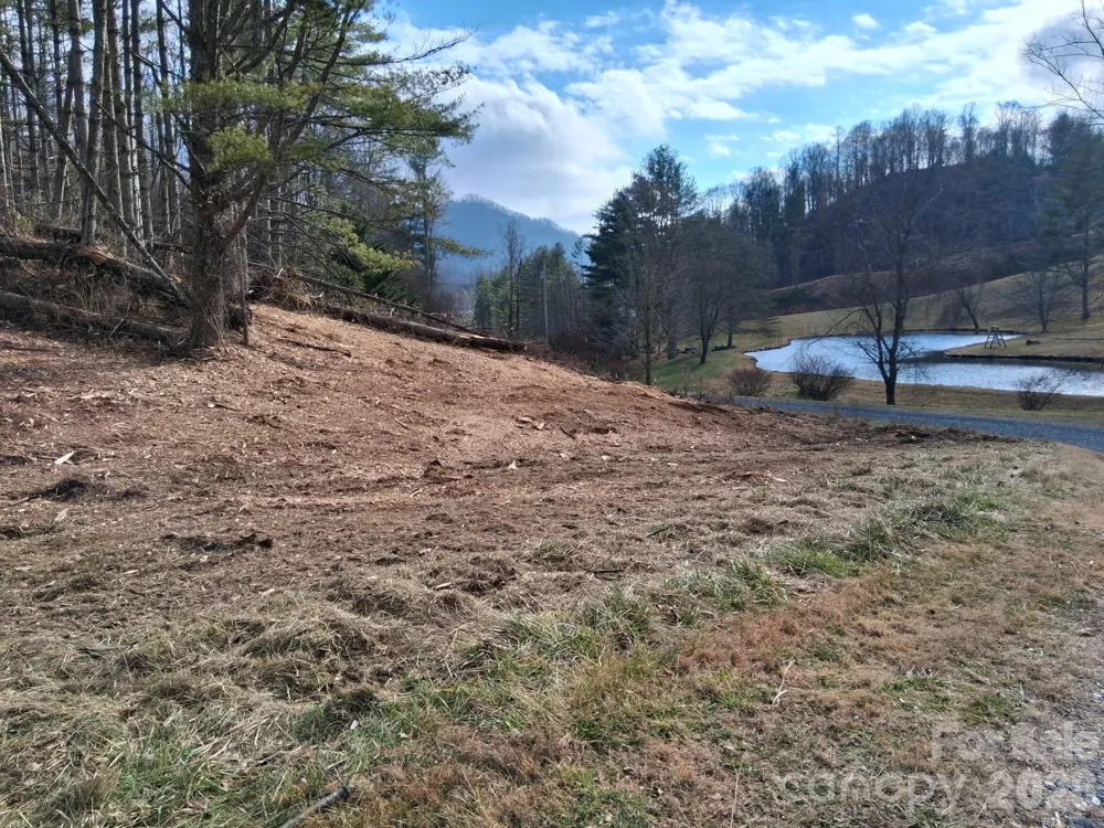 99999 Big Rock Creek Drive Bakersville, NC 28705