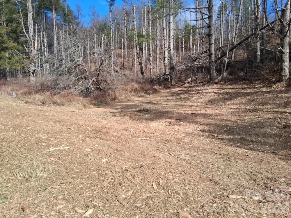 99999 Big Rock Creek Drive Bakersville, NC 28705