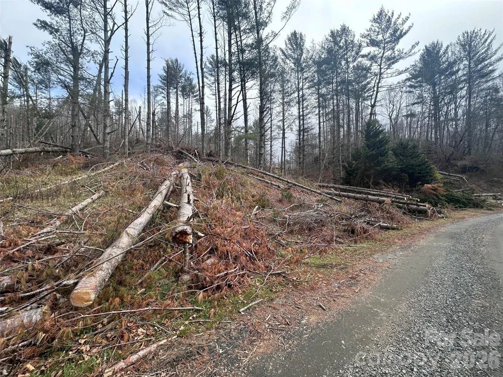 99999 Big Rock Creek Drive Bakersville, NC 28705