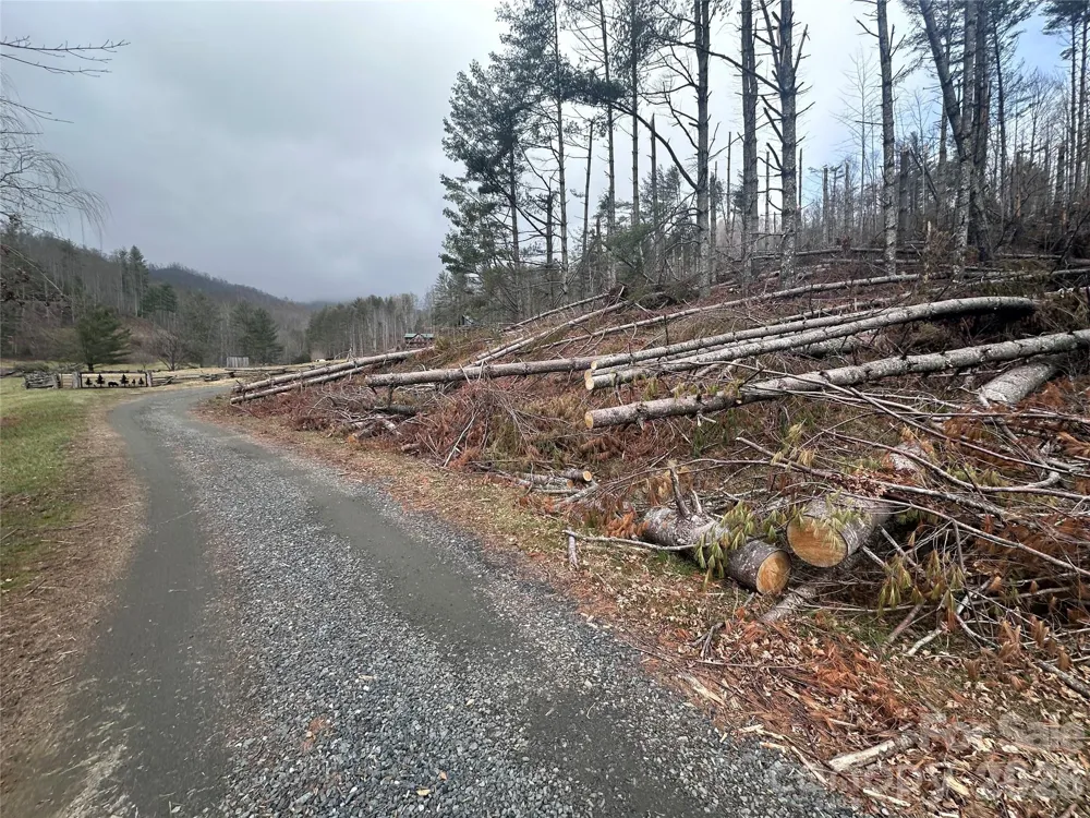 99999 Big Rock Creek Drive Bakersville, NC 28705