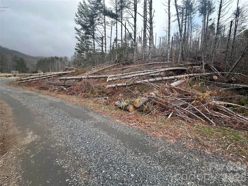 99999 Big Rock Creek Drive Bakersville, NC 28705