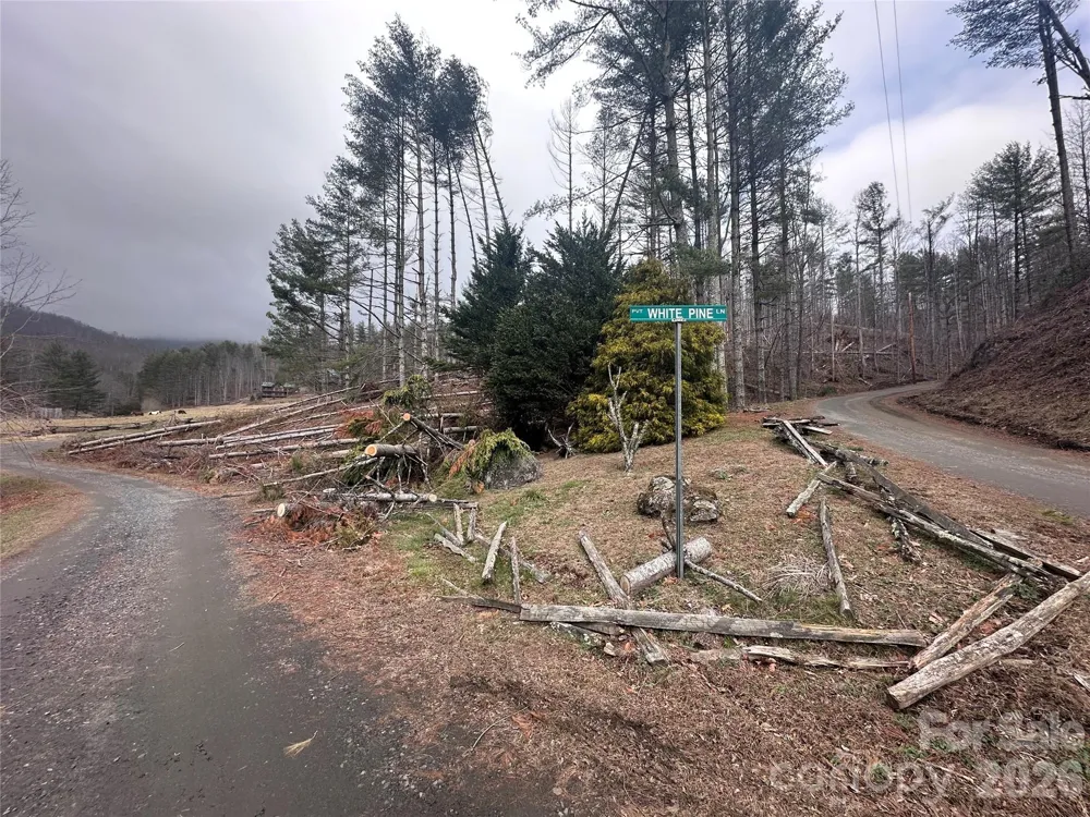 99999 Big Rock Creek Drive Bakersville, NC 28705