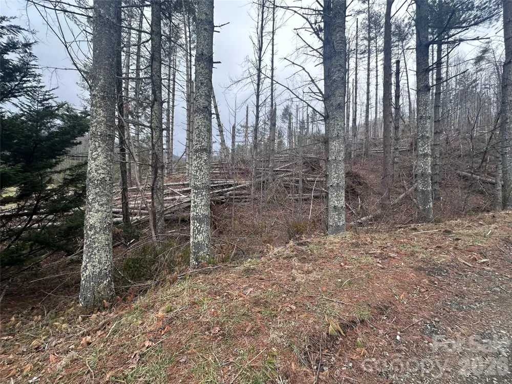 99999 Big Rock Creek Drive Bakersville, NC 28705