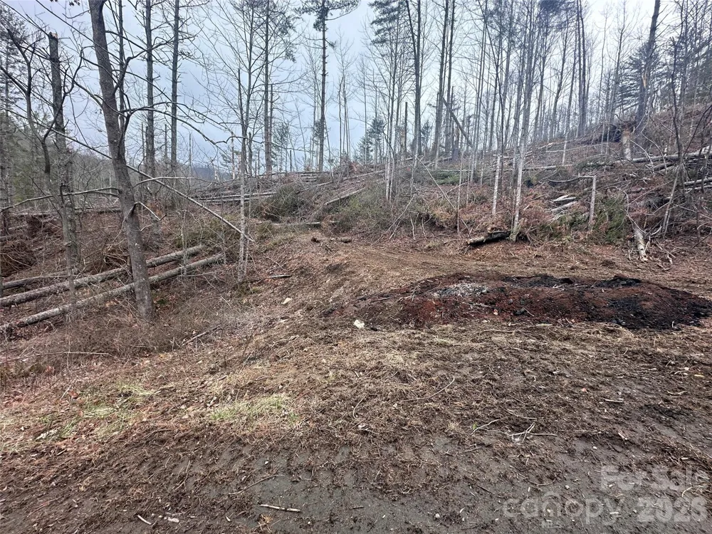 99999 Big Rock Creek Drive Bakersville, NC 28705