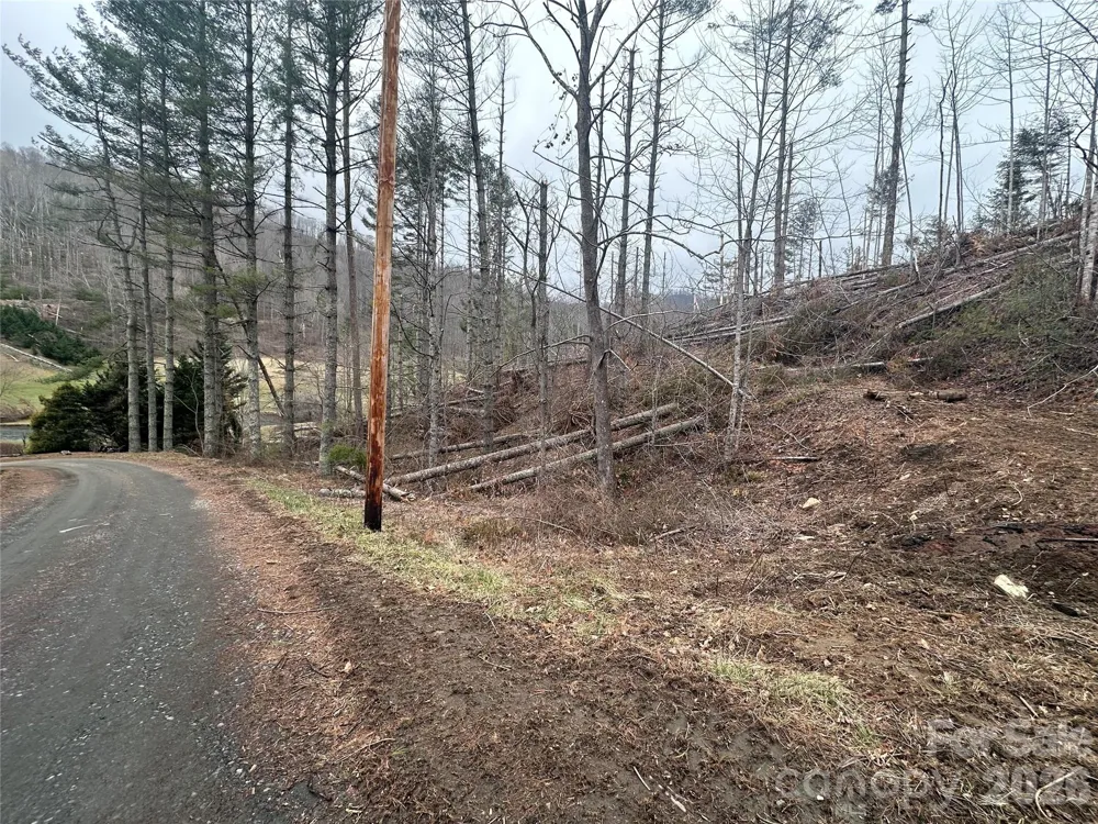 99999 Big Rock Creek Drive Bakersville, NC 28705