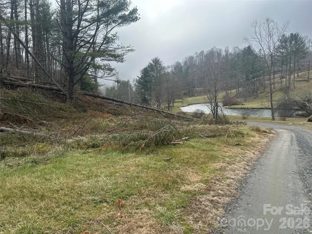 99999 Big Rock Creek Drive Bakersville, NC 28705