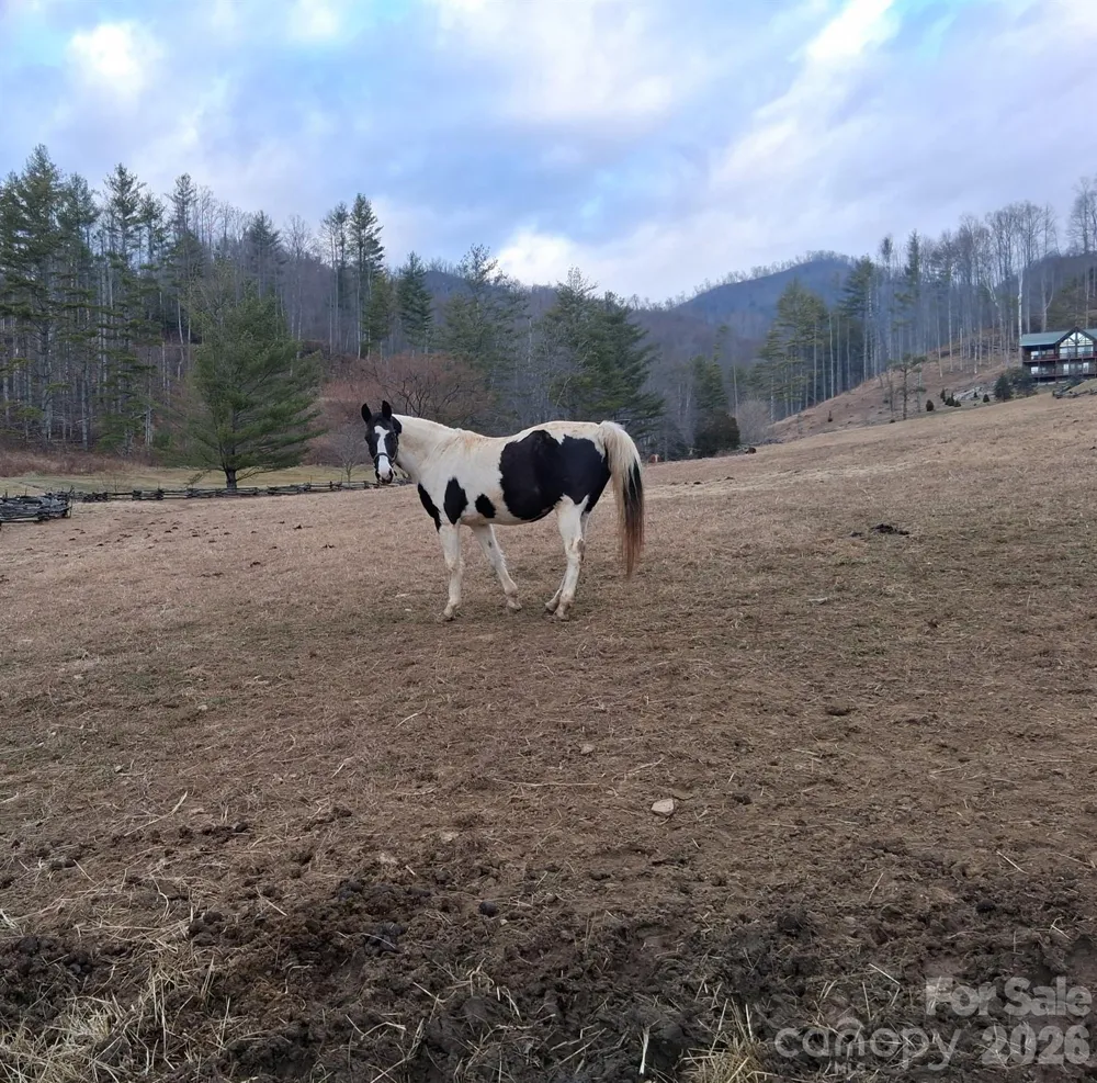 99999 Big Rock Creek Drive Bakersville, NC 28705