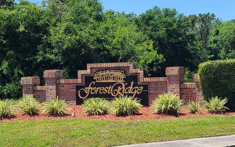 0 WOOD DOVE, LOTS 1.2.3.&4 AVENUE Tarpon Springs, FL 34689