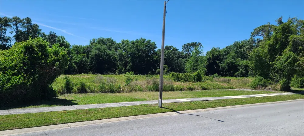 0 WOOD DOVE, LOTS 1.2.3.&4 AVENUE Tarpon Springs, FL 34689