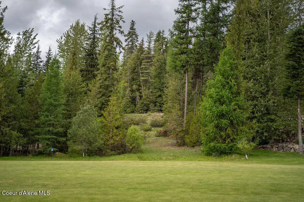 207 Long lot#4 Drive Priest Lake, ID 83856