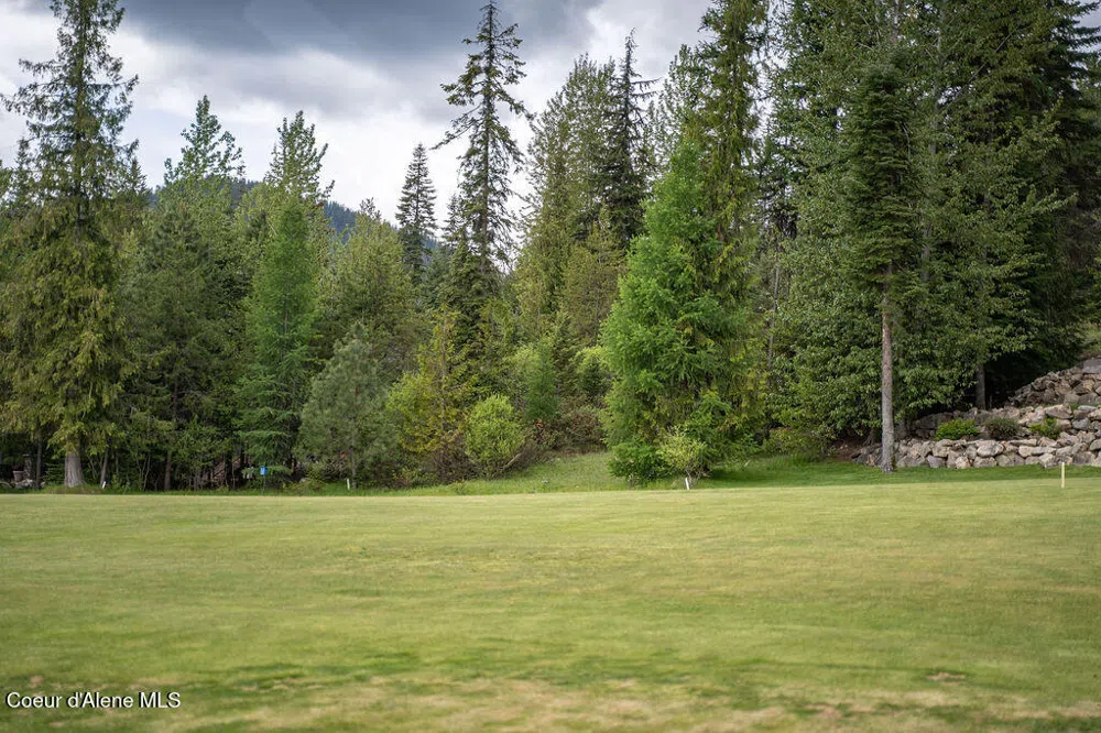 207 Long lot#4 Drive Priest Lake, ID 83856