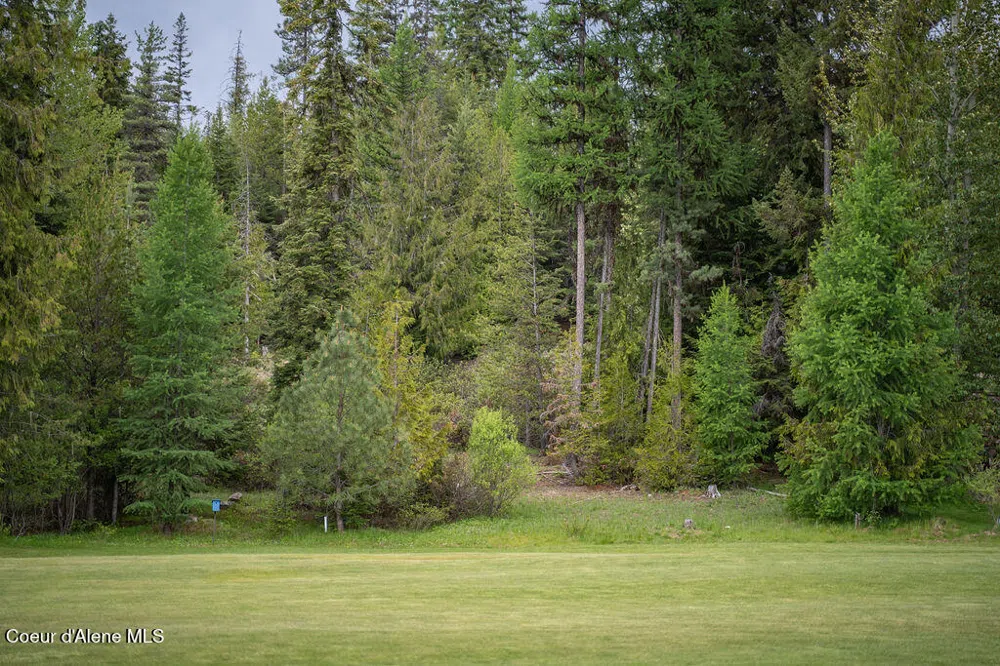 207 Long lot#4 Drive Priest Lake, ID 83856
