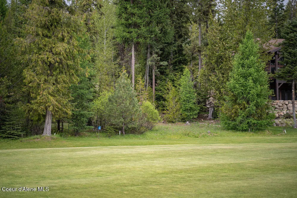 207 Long lot#4 Drive Priest Lake, ID 83856