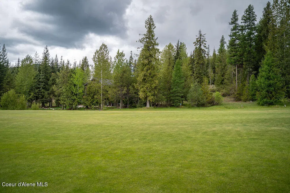207 Long lot#4 Drive Priest Lake, ID 83856