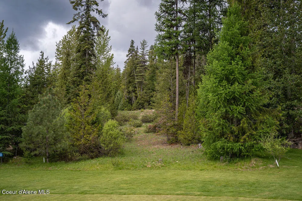 207 Long lot#4 Drive Priest Lake, ID 83856