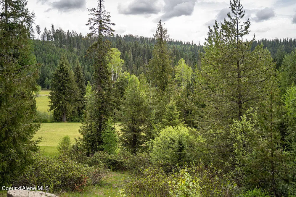207 Long lot#4 Drive Priest Lake, ID 83856