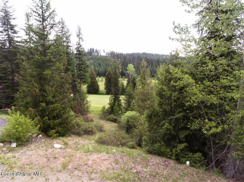 207 Long lot#4 Drive Priest Lake, ID 83856