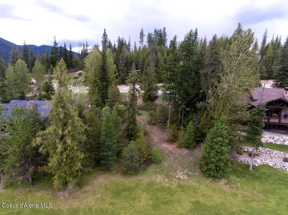 207 Long lot#4 Drive Priest Lake, ID 83856