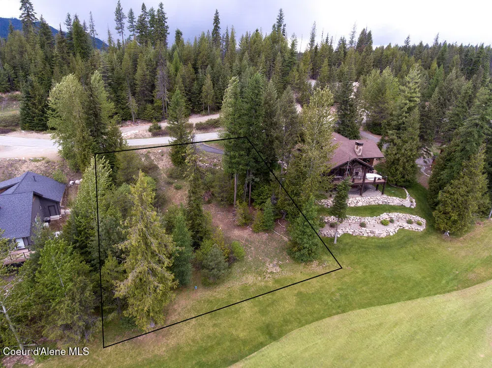 207 Long lot#4 Drive Priest Lake, ID 83856