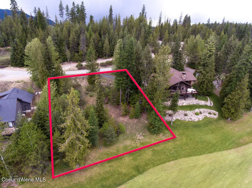 207 Long lot#4 Drive Priest Lake, ID 83856