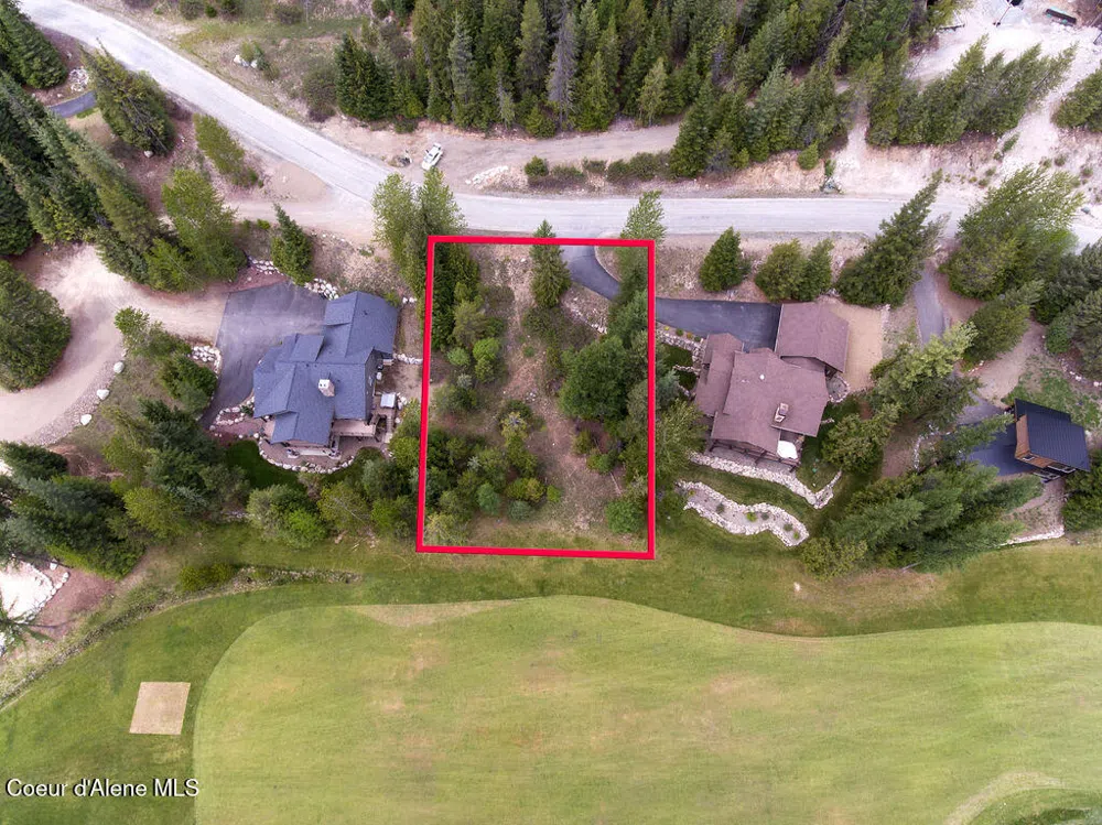207 Long lot#4 Drive Priest Lake, ID 83856