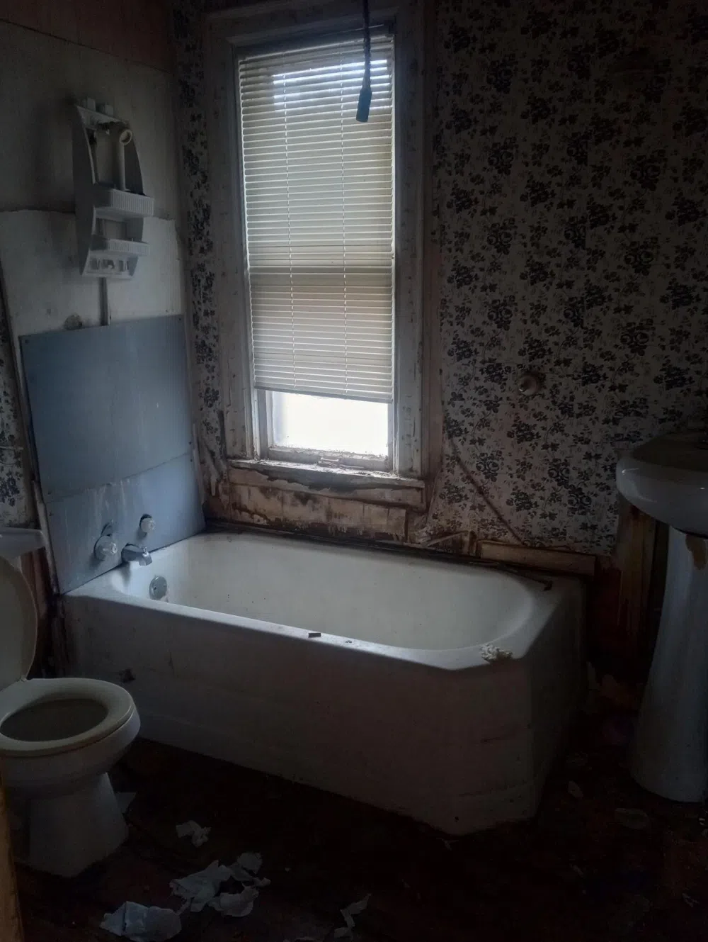 3771 24th Detroit, MI 48208