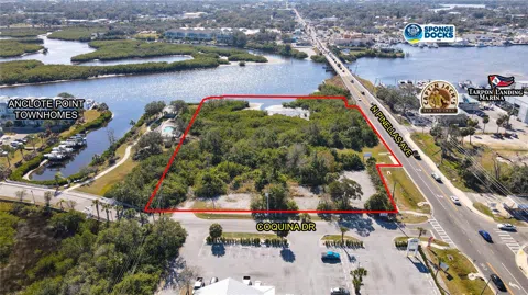 PINELLAS AVENUE