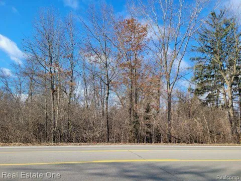 UNION LAKE ROAD