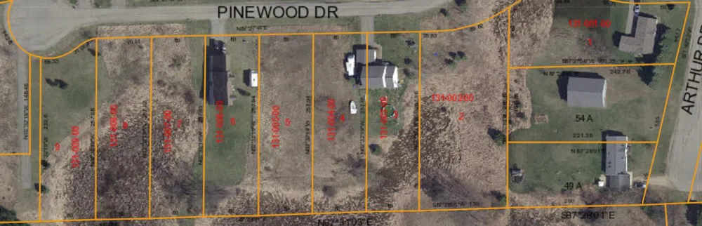 Pinewood Drive Grass Lake, MI 49240