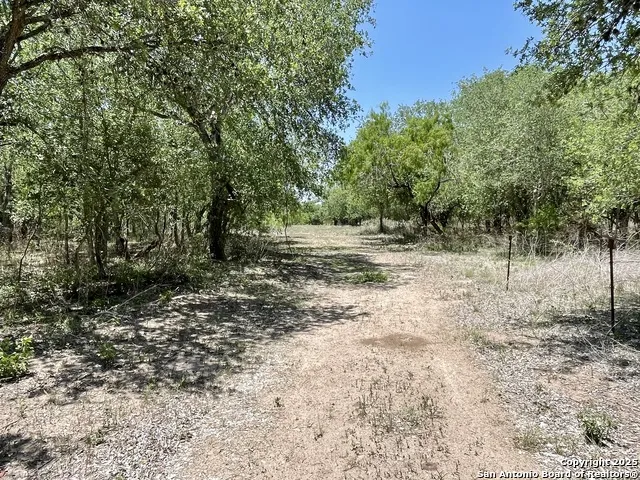 TRACT 4 West King Lane Beeville, TX 78142