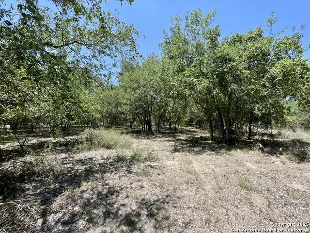 TRACT 4 West King Lane Beeville, TX 78142