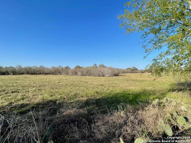 TRACT 4 West King Lane Beeville, TX 78142