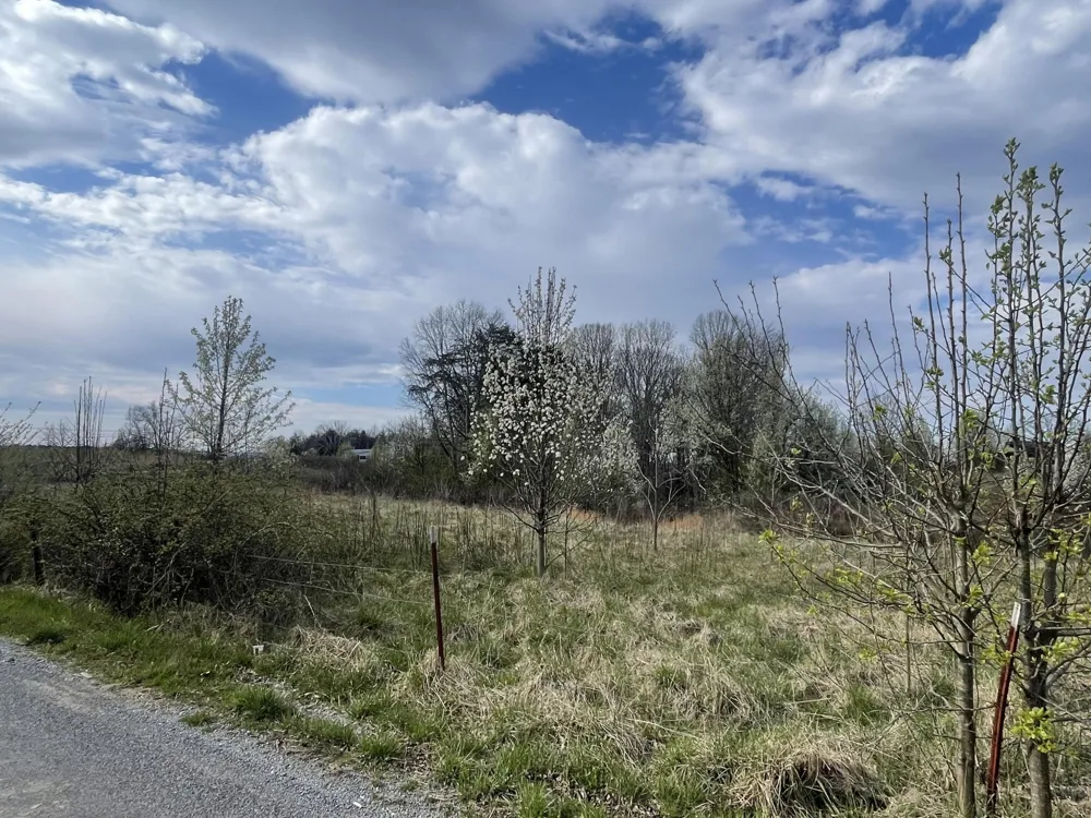2 Watson Loop Pikeville, TN 37367