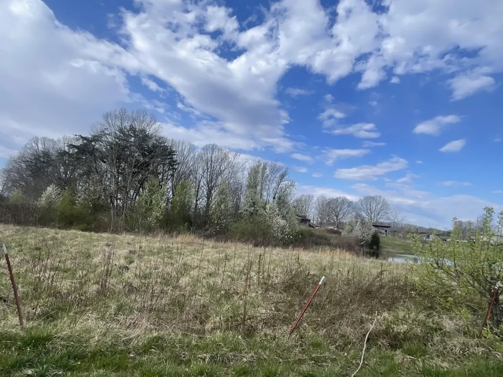 2 Watson Loop Pikeville, TN 37367