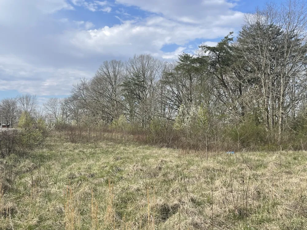 2 Watson Loop Pikeville, TN 37367