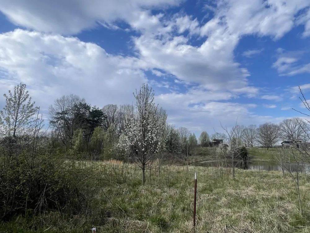 2 Watson Loop Pikeville, TN 37367