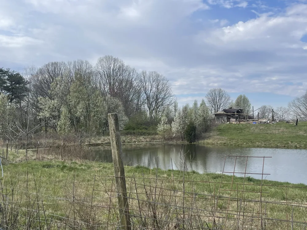 2 Watson Loop Pikeville, TN 37367