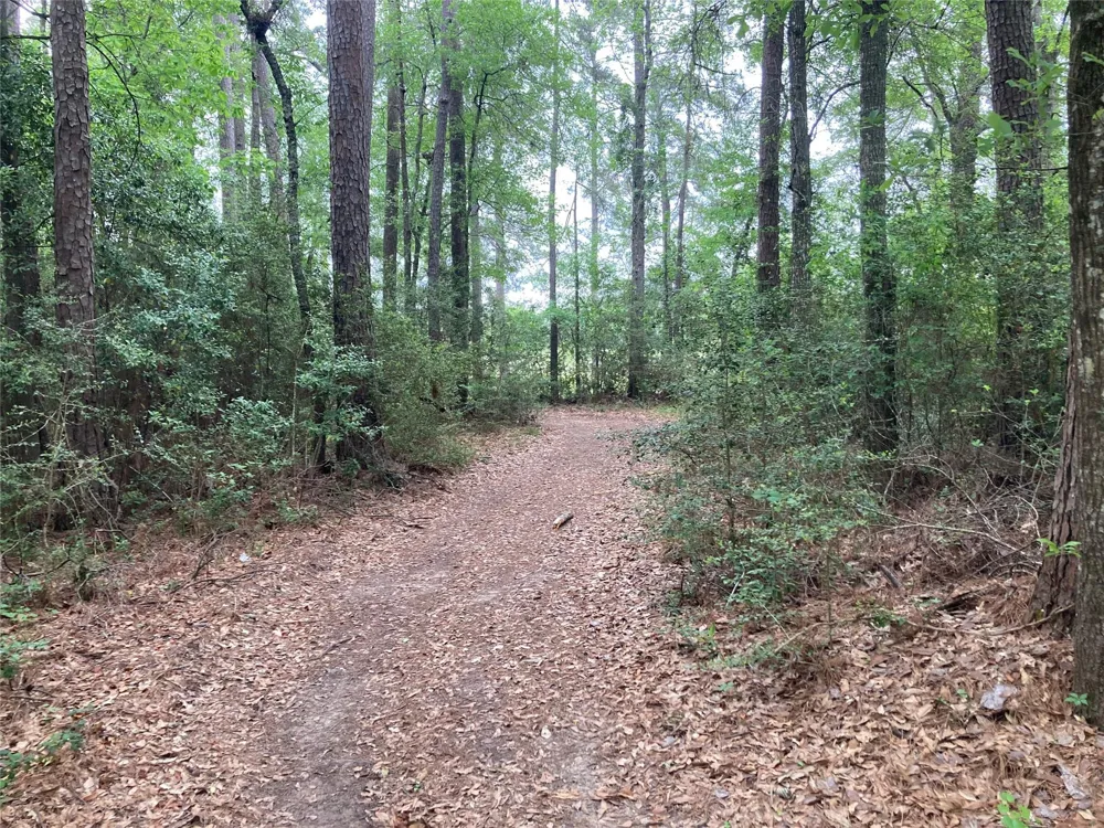 Afton Way Huffman, TX 77336