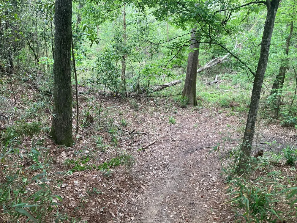 Afton Way Huffman, TX 77336