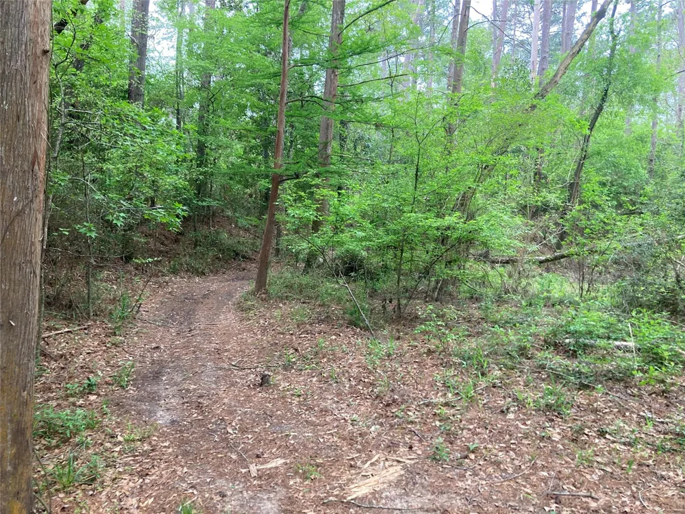 Afton Way Huffman, TX 77336