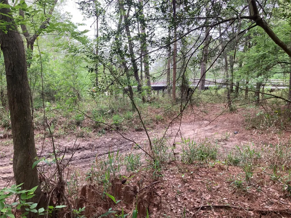 Afton Way Huffman, TX 77336