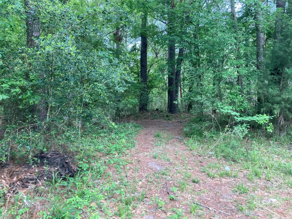 Afton Way Huffman, TX 77336
