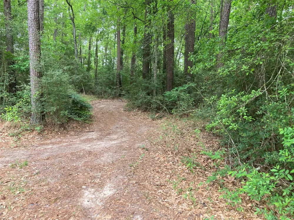 Afton Way Huffman, TX 77336
