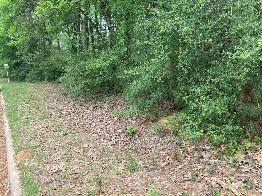 Afton Way Huffman, TX 77336