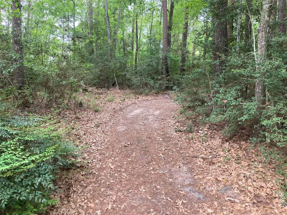 Afton Way Huffman, TX 77336