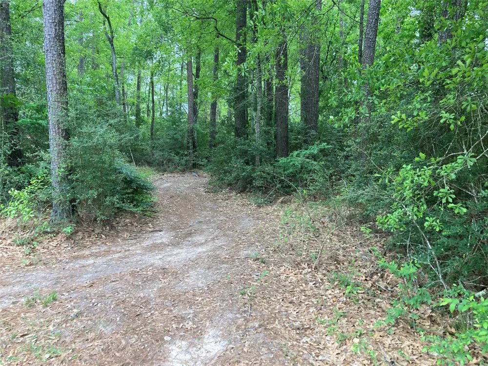 Afton Way Huffman, TX 77336