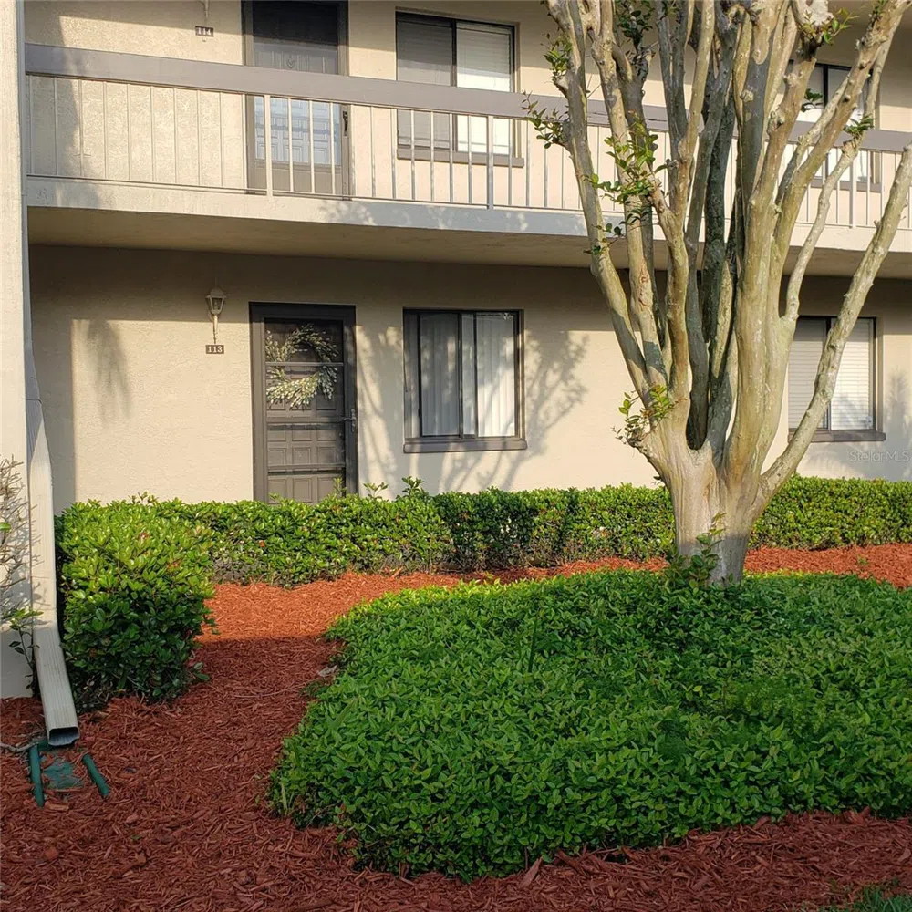 113 NINA WAY #113 Oldsmar, FL 34677
