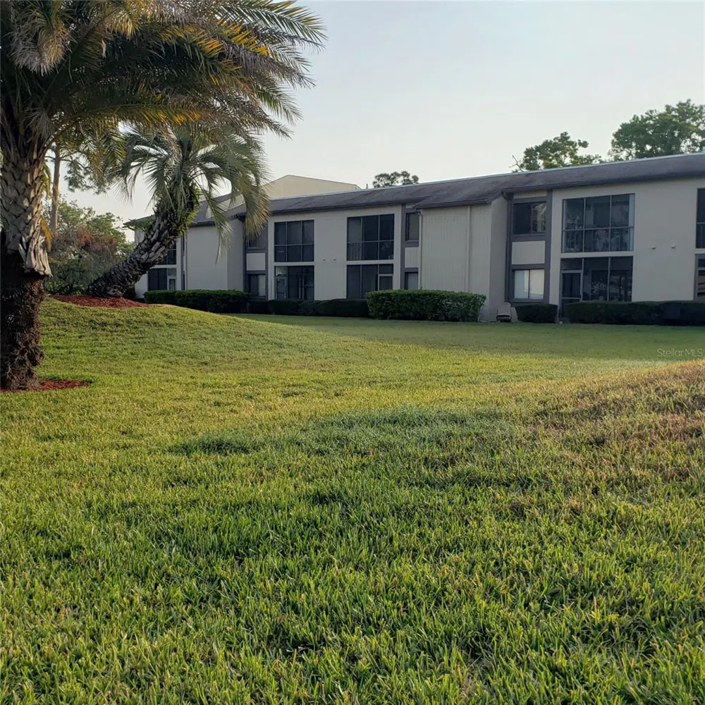 113 NINA WAY #113 Oldsmar, FL 34677