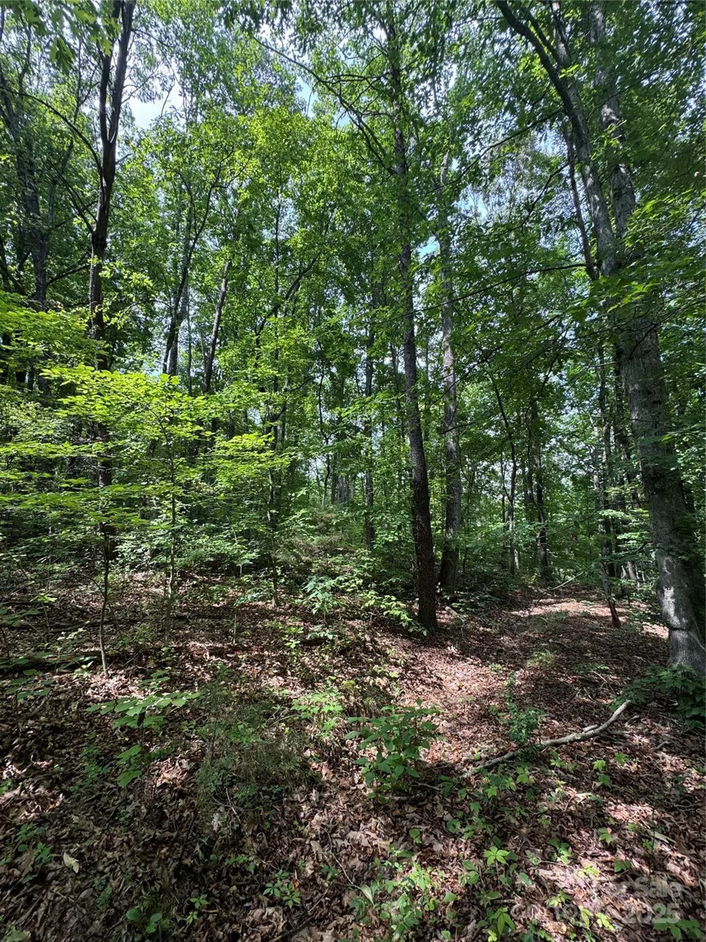 00 Pinnacle Parkway Union Mills, NC 28167