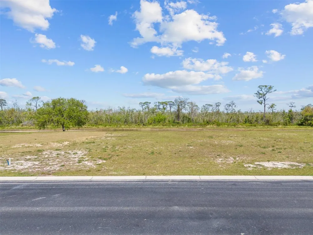 345 ADAMS VIEW LANE Auburndale, FL 33823